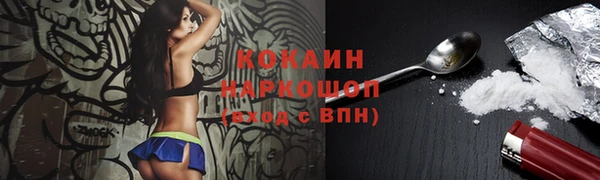 прущие крисы Каменка