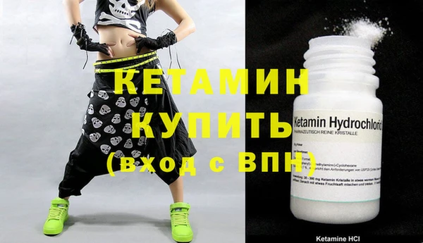 прущие крисы Каменка